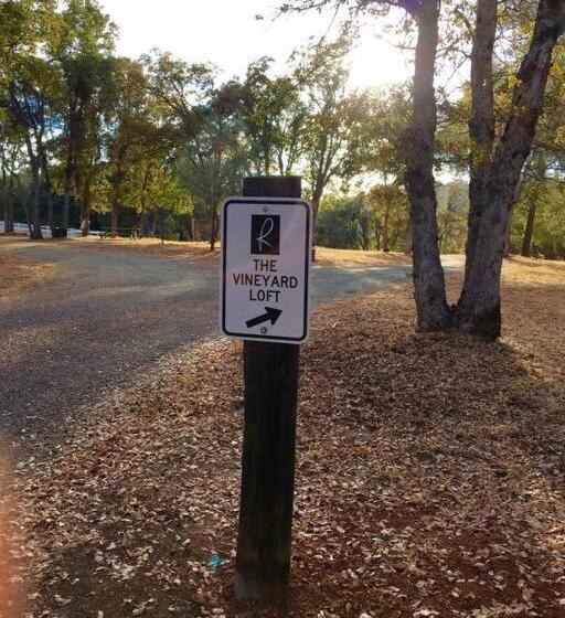 Papillon Cellars   The Loft