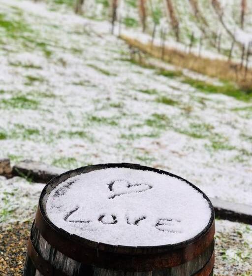 Papillon Cellars   The Loft