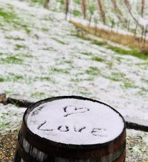 Papillon Cellars   The Loft