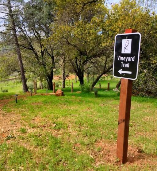 Papillon Cellars   The Loft