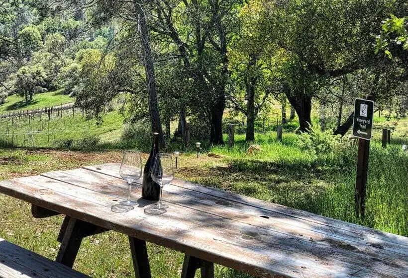 Papillon Cellars   The Loft