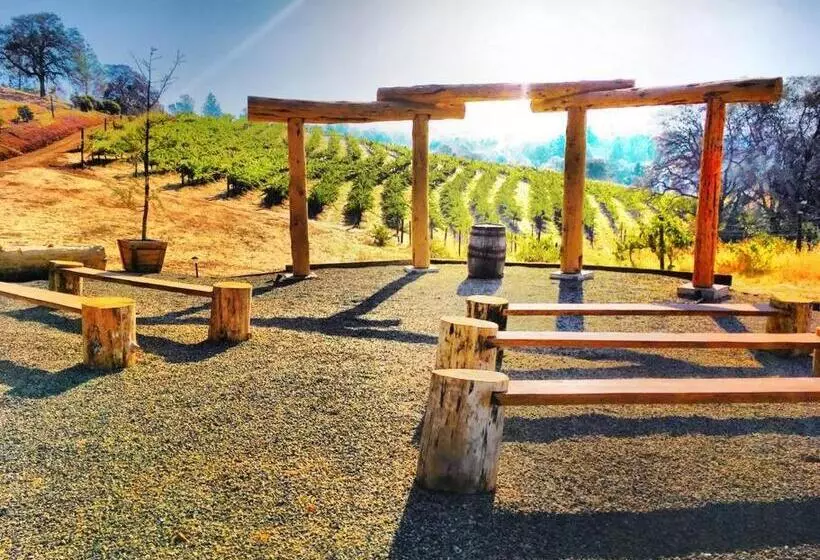 Papillon Cellars   The Loft