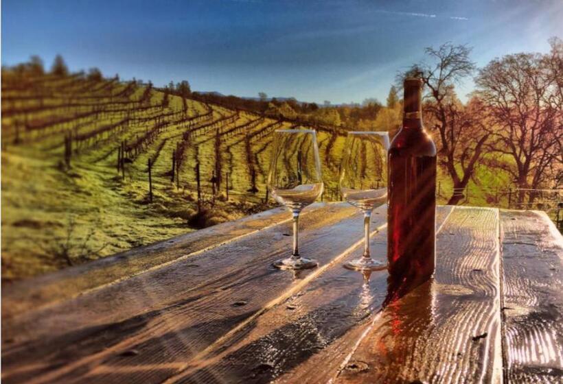 Papillon Cellars   The Loft