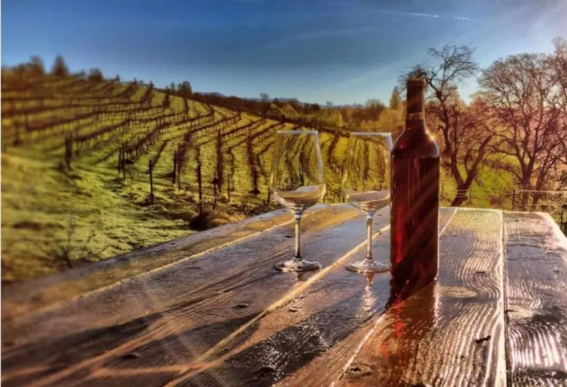 Papillon Cellars   The Loft