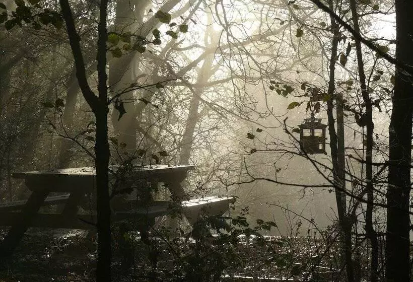 The Larches Ledbury Bed And Breakfast