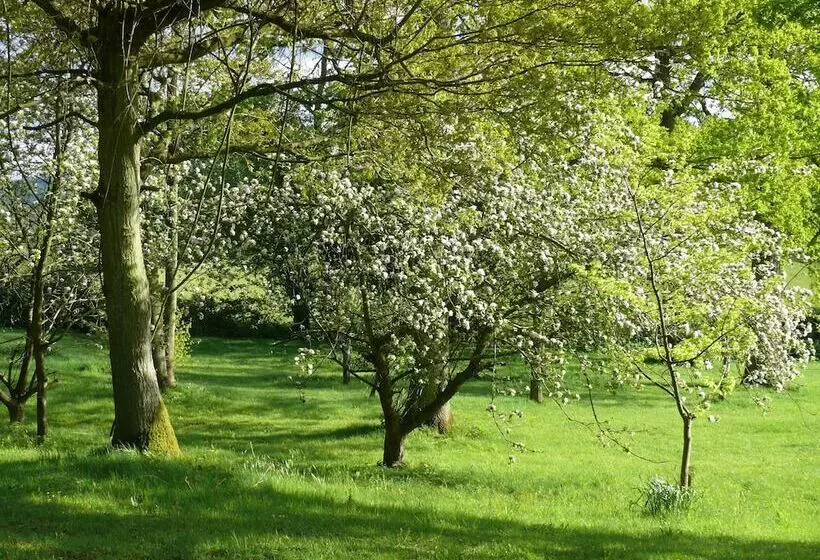 The Larches Ledbury Bed And Breakfast