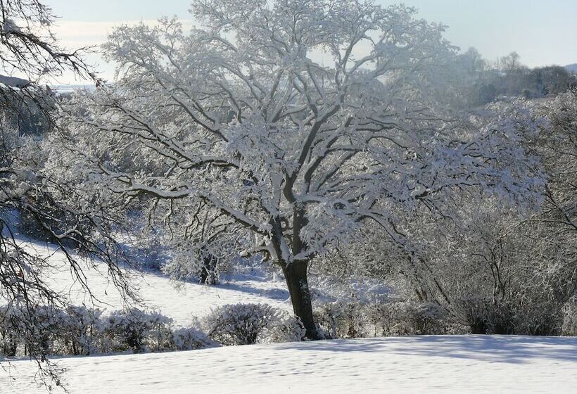 The Larches Ledbury Bed And Breakfast