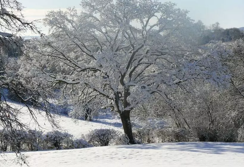 The Larches Ledbury Bed And Breakfast