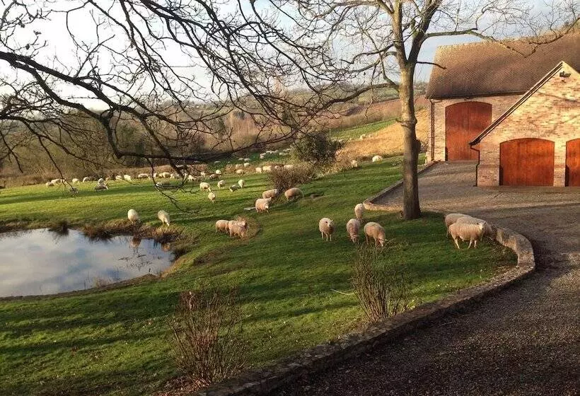 The Larches Ledbury Bed And Breakfast