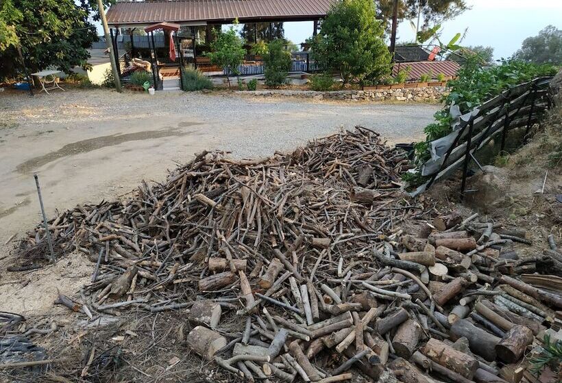 هاستل Zeytinada Pansiyon Ve Gozleme