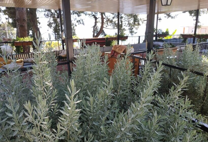 هاستل Zeytinada Pansiyon Ve Gozleme