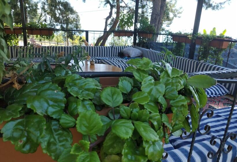 هاستل Zeytinada Pansiyon Ve Gozleme