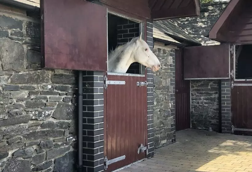 Aamiaismajoitus (B&B) Llangwyryfon Country Breaks