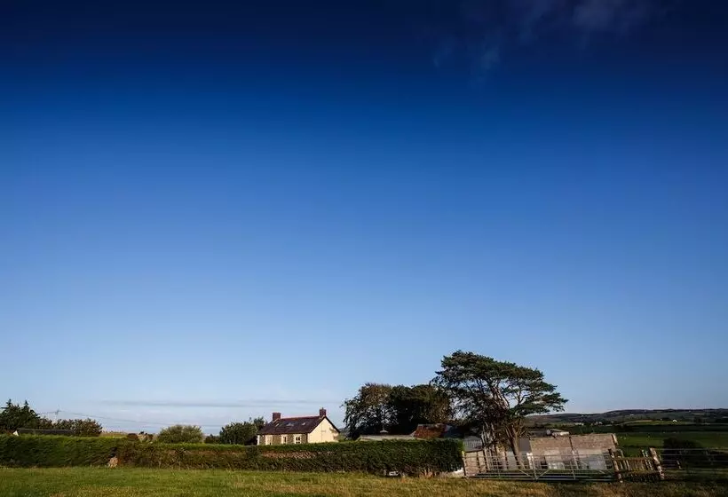 Aamiaismajoitus (B&B) Llangwyryfon Country Breaks