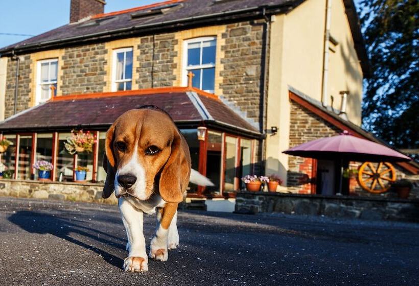 مبيت وإفطار Llangwyryfon Country Breaks