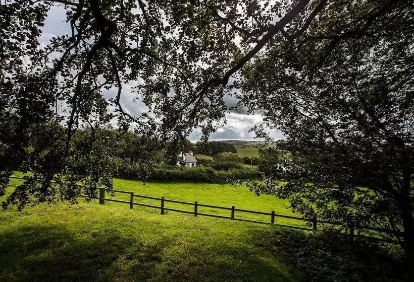 Aamiaismajoitus (B&B) Llangwyryfon Country Breaks