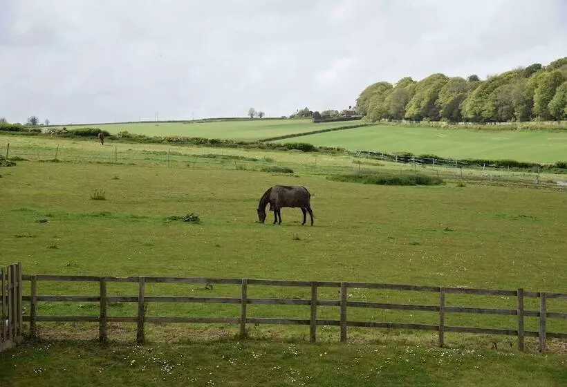 ベッドアンドブレックファースト Lower Bryanston Farm