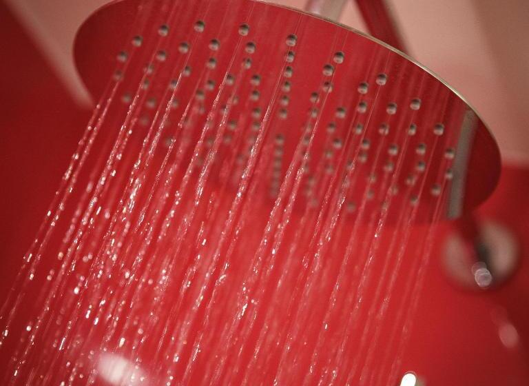 בית מלון כפרי Ffolkes Arms