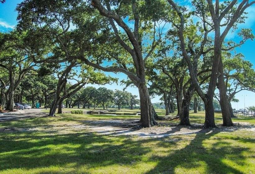 Отель Oasis Resort Gulfport