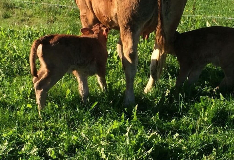 酒店 Yourte Mongole