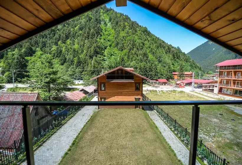 Kibar Suite