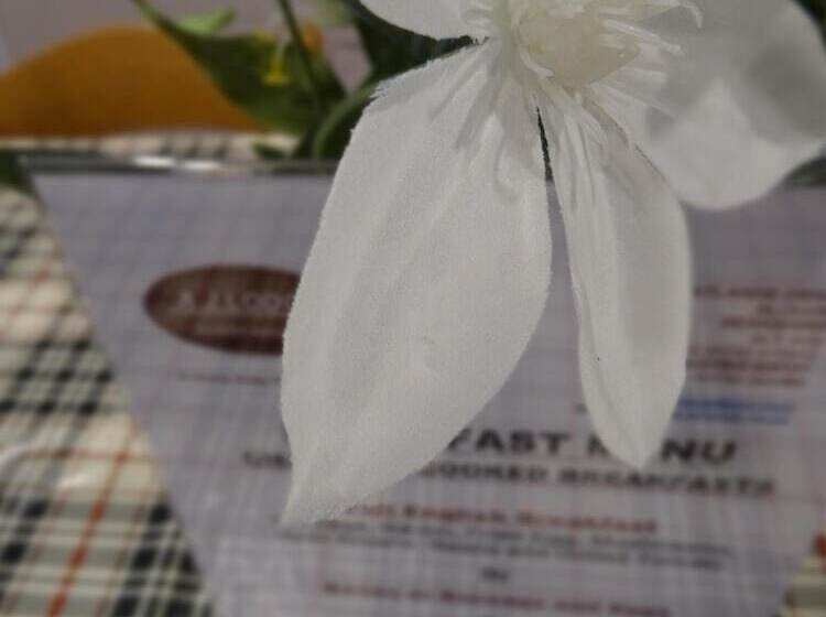 Bed and Breakfast Aj Lodge