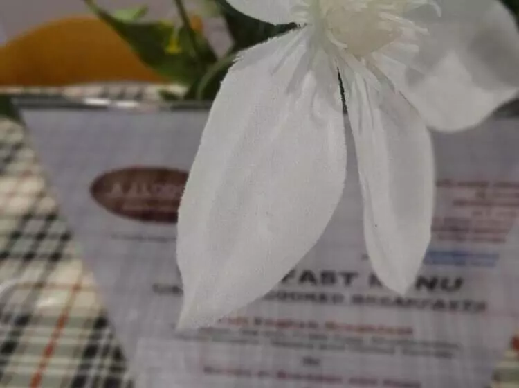 Aamiaismajoitus (B&B) Aj Lodge