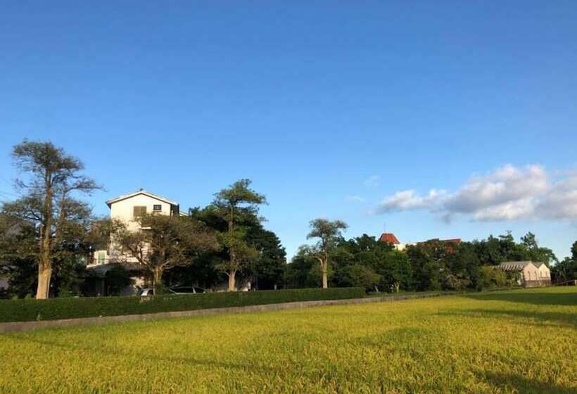 تختخواب و صبحانه Maple