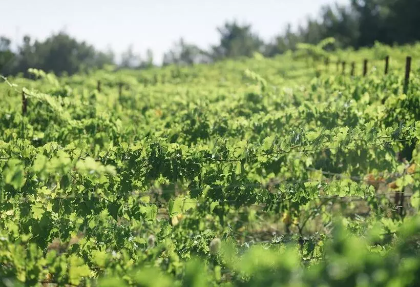 ホテル Manej Urla