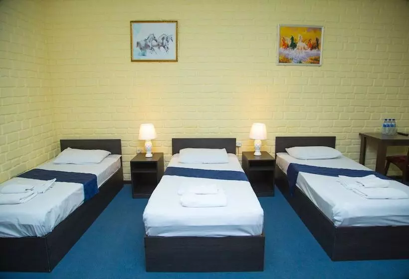 Hotel Minor