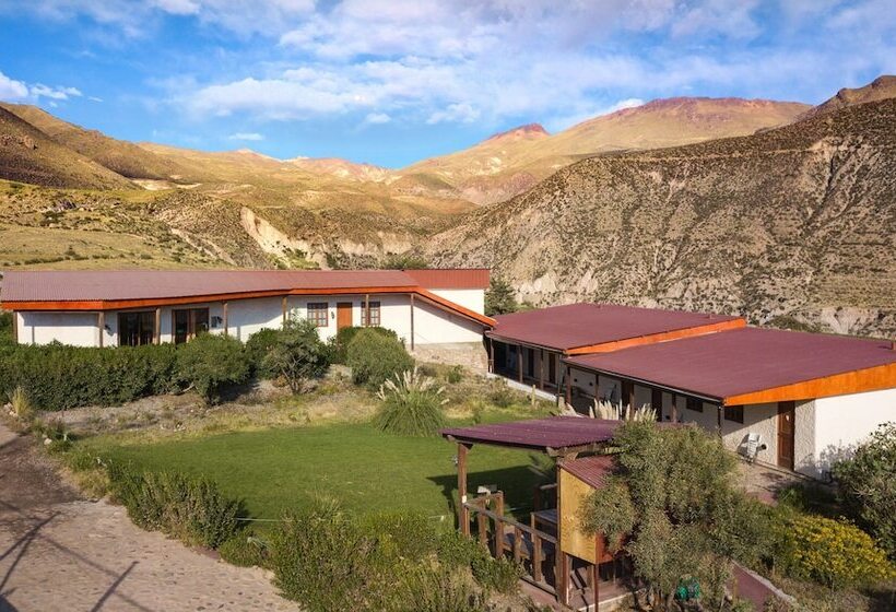 فندق Terrace Lodge