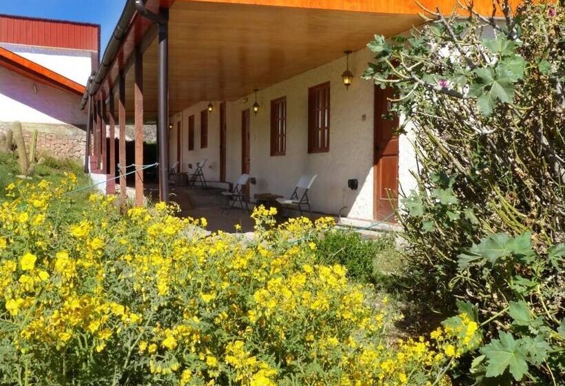 فندق Terrace Lodge