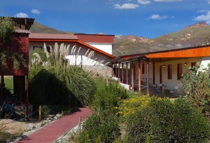 فندق Terrace Lodge