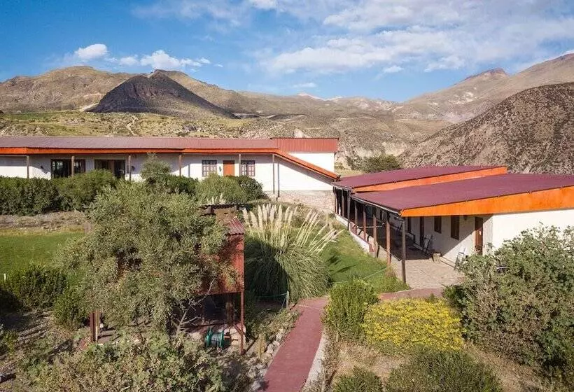 Hotelli Terrace Lodge