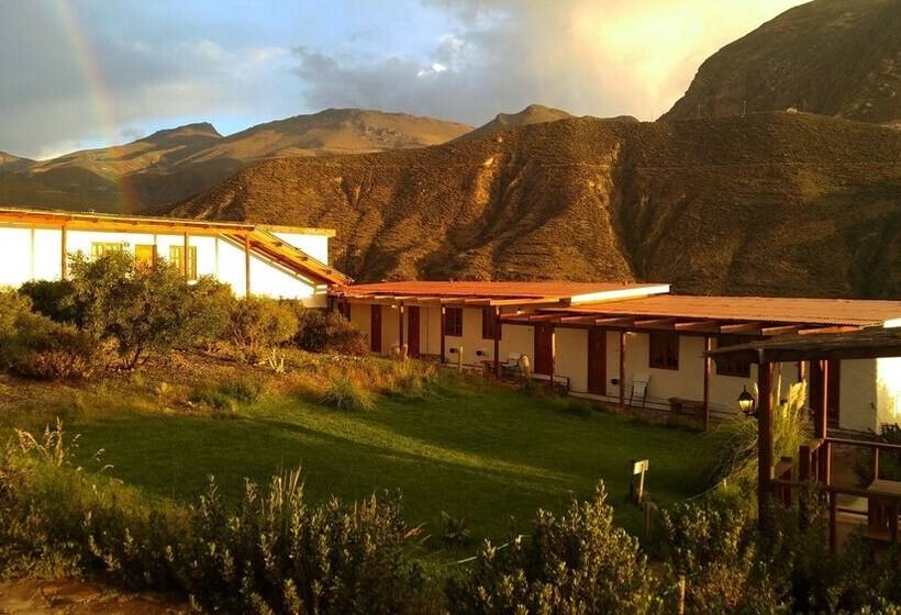 فندق Terrace Lodge