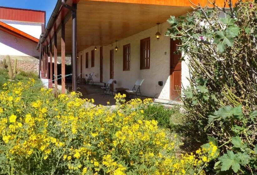 فندق Terrace Lodge