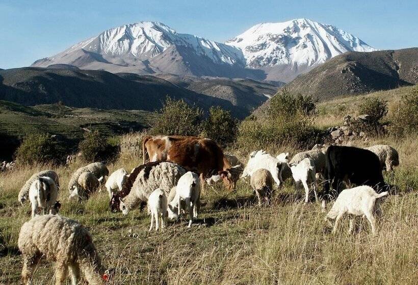 فندق Terrace Lodge