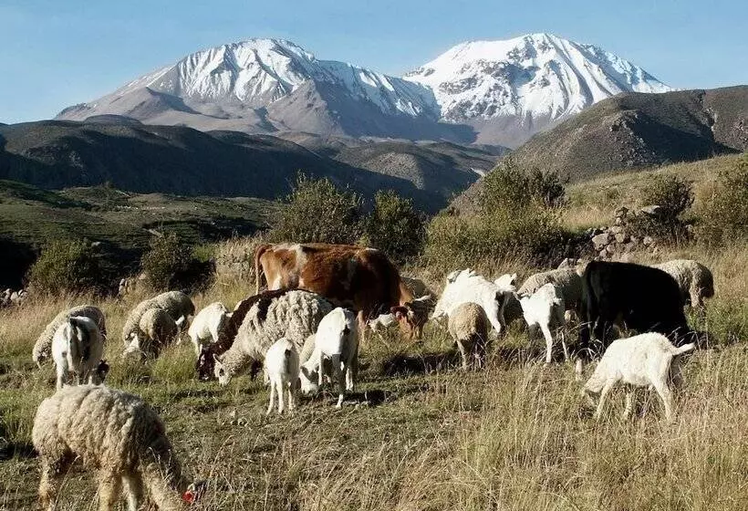 Hotelli Terrace Lodge