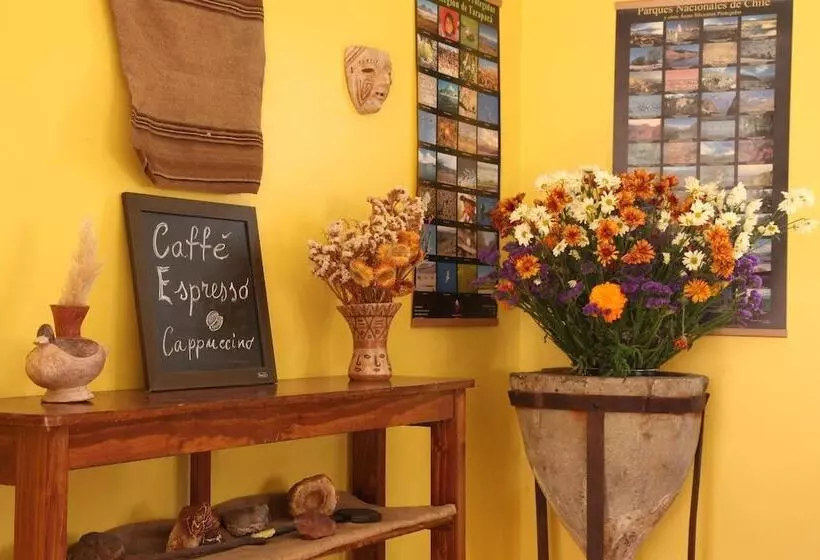 Hotelli Terrace Lodge