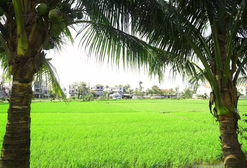 پانسیون Hoang Y Homestay