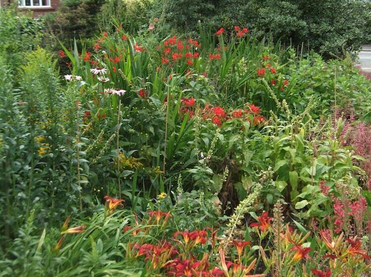 פנסיון The Firs Guesthouse