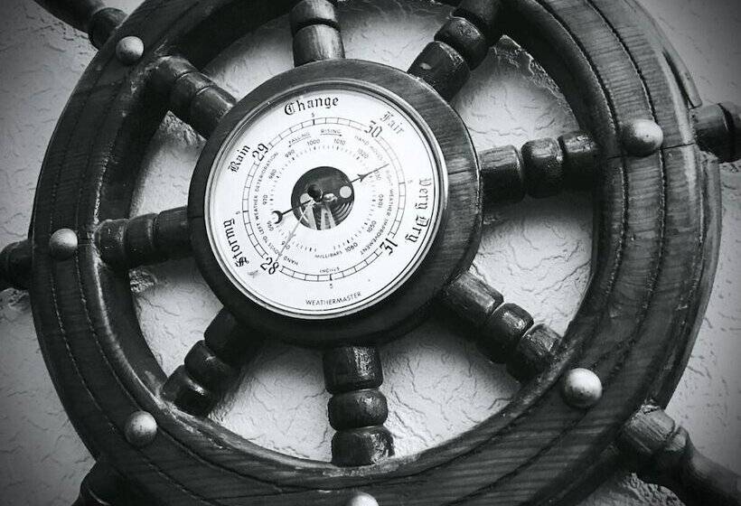 פנסיון The Firs Guesthouse