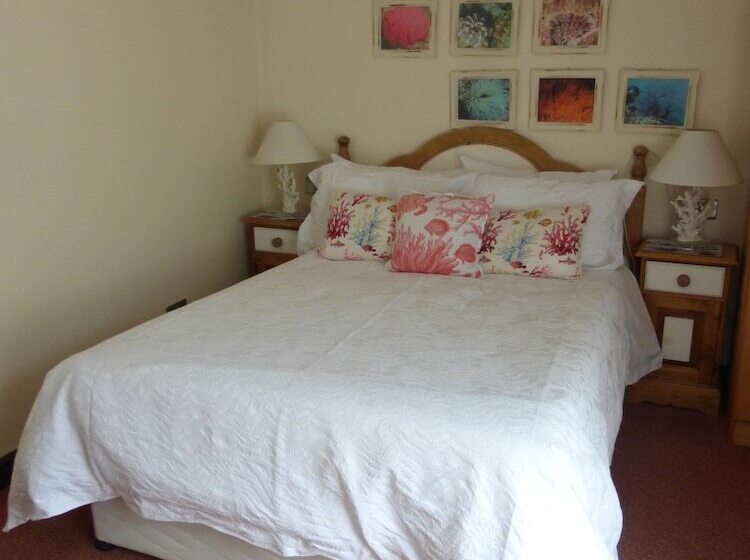 פנסיון The Firs Guesthouse