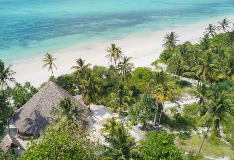 Zanzibar Pearl   Boutique Hotel & Villas