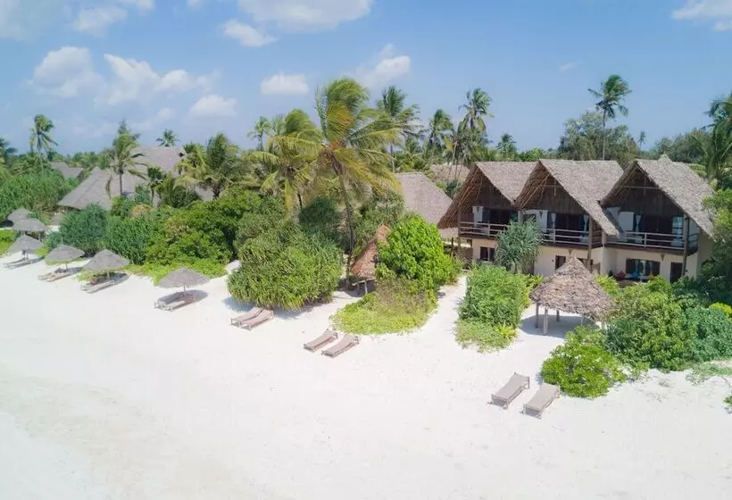 Zanzibar Pearl   Boutique Hotel & Villas
