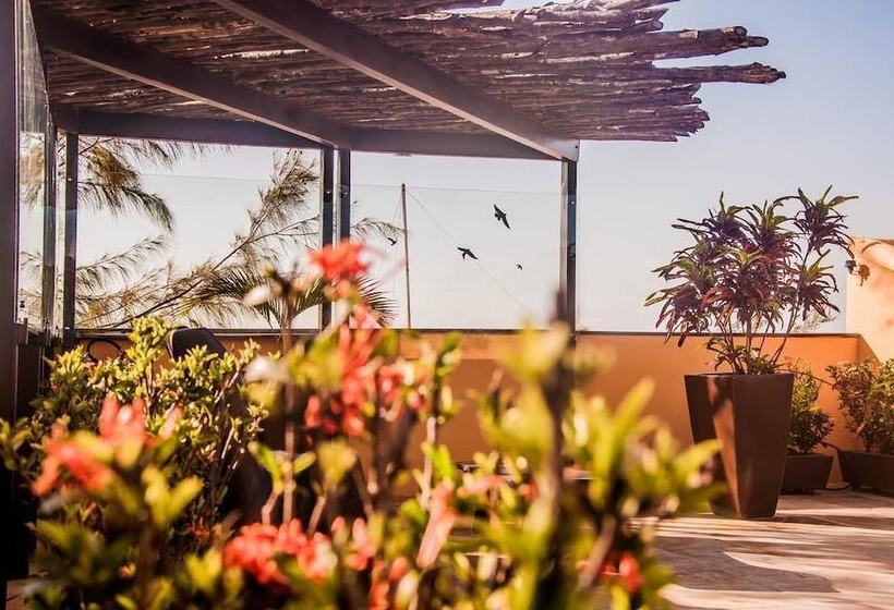 호텔 Pousada Vento De Jeri