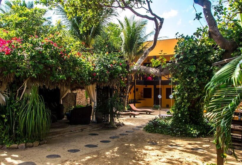 호텔 Pousada Vento De Jeri