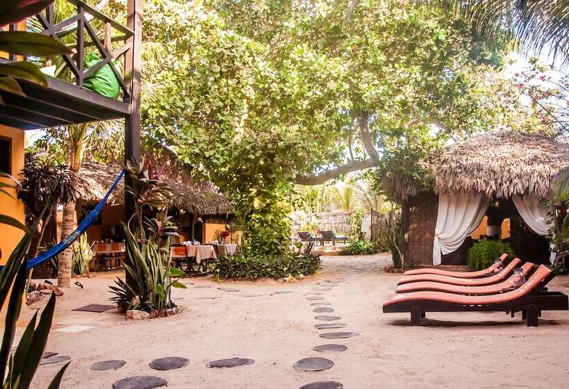 호텔 Pousada Vento De Jeri