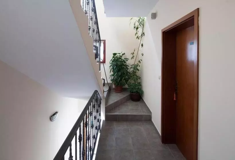 Apartment Toni 555