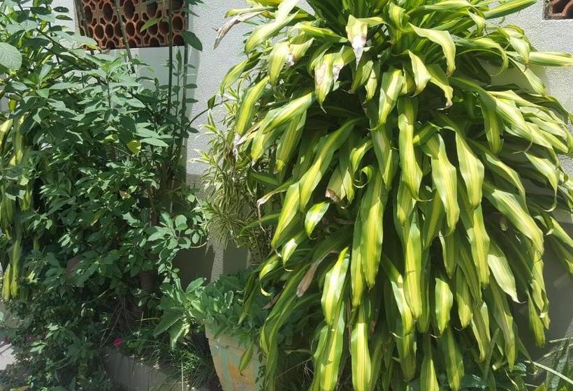 فندق Los Angeles Aeroporto